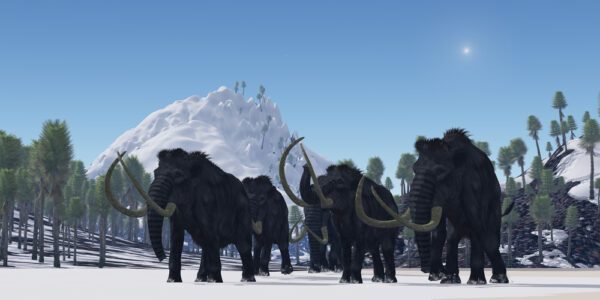 Comeback of the Woolly Mammoth: Bringing Back an Extinct Species - Fair ...
