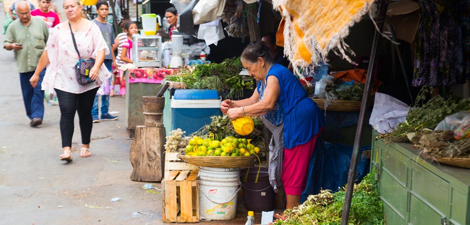 Understanding the Political Economy of Paraguay